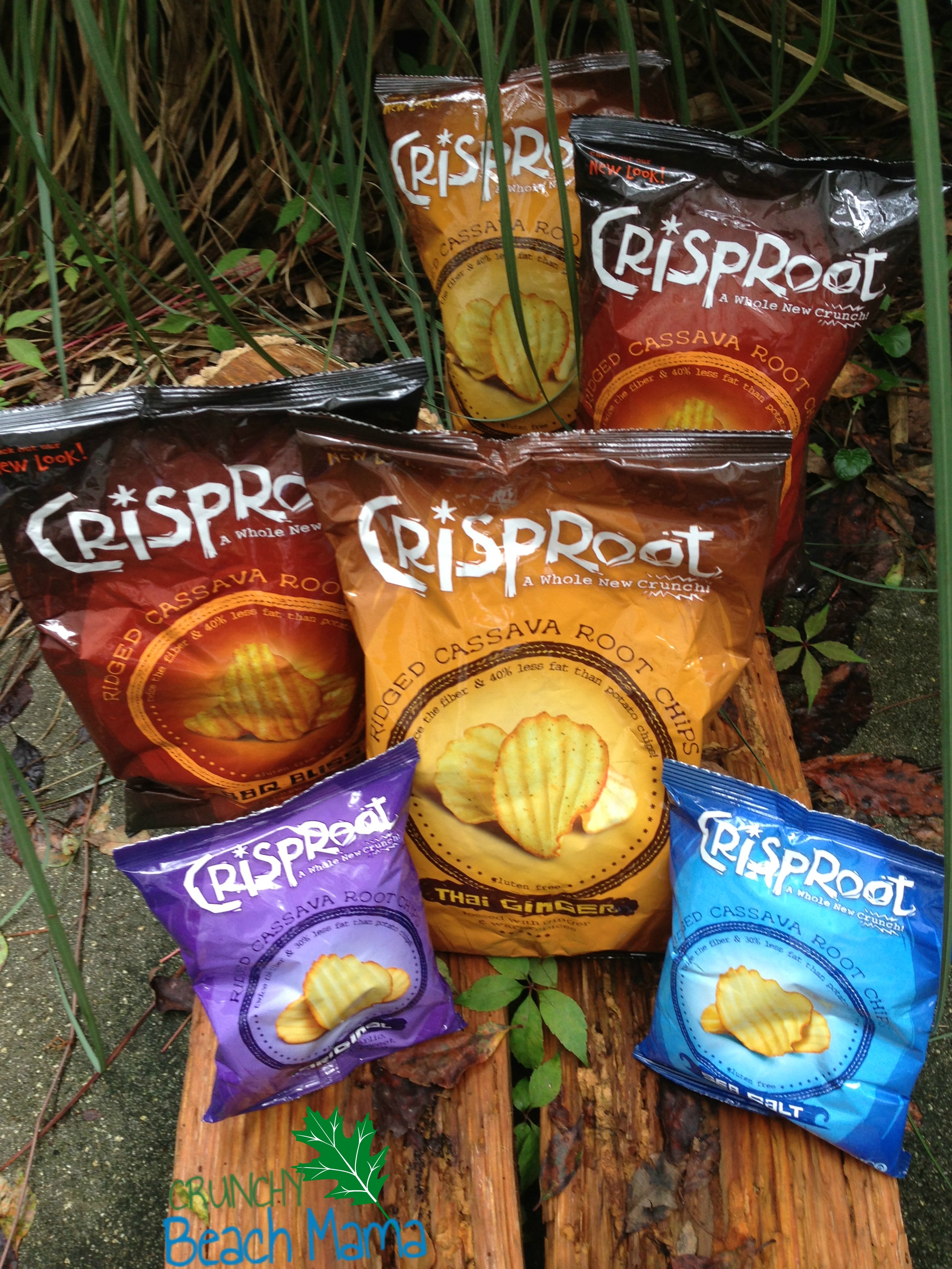 Crisproot Chips