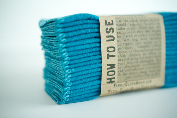 family cloth wipes teal