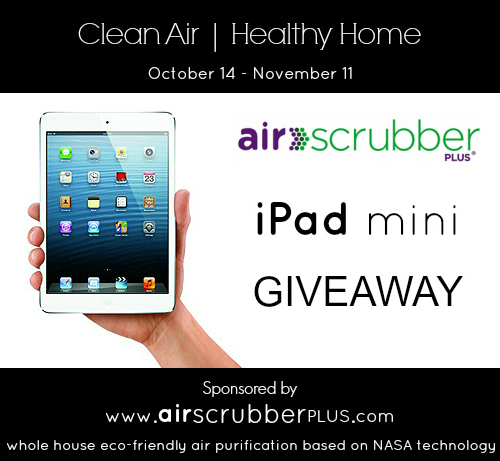 air-scrubber-plus-iPad