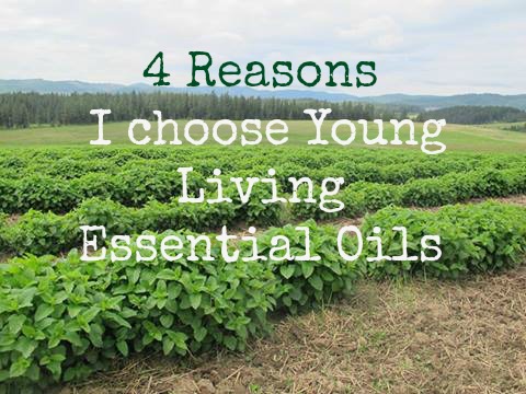 Why Young Living Essential Oils - 4 reasons