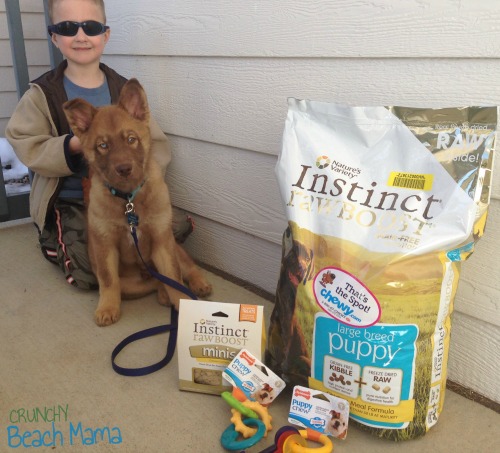 Chewy.com Nature’s Variety Pet Food Giveaway