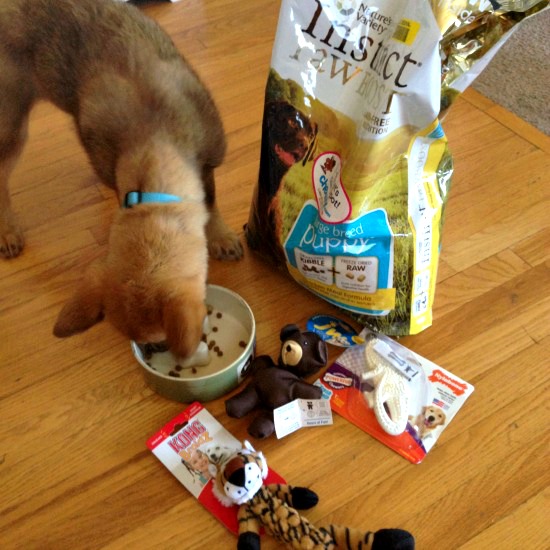 Nature’s Variety Instinct Raw Boost Pet Food Giveaway