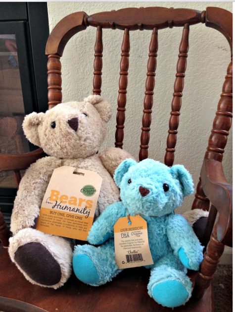 Organic Teddy Bear from Bears For Humanity
