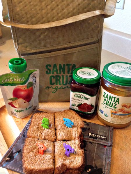 Santa Cruz Organic Lunch Box plus Organic Lunch Ideas