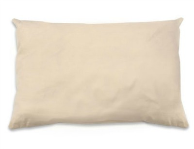 Naturepedic pillow