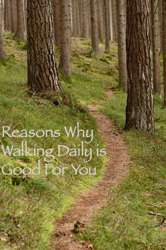 Reasons Why Walking Daily is Good For You