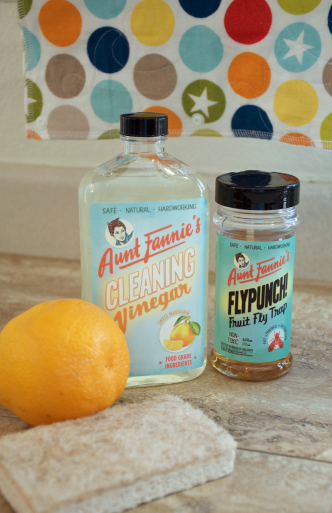 Aunt Fannie's Cleaning Vinegar and FlyPunch