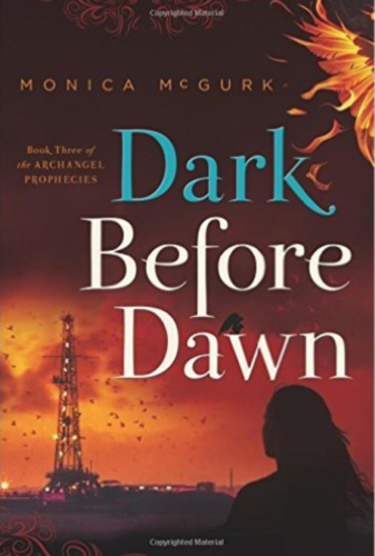 Dark Before Dawn Book By Monica McGurk - Crunchy Beach Mama