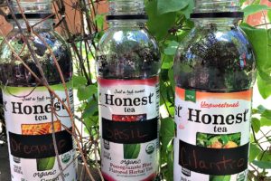 Growing Herbs in Upcycled Bottles