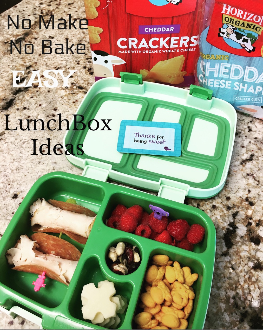 Easy LunchBox Ideas
