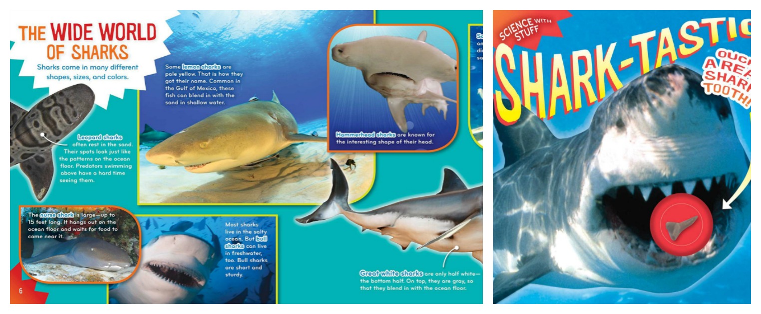 Books for Kid Gifts Shark-tastic