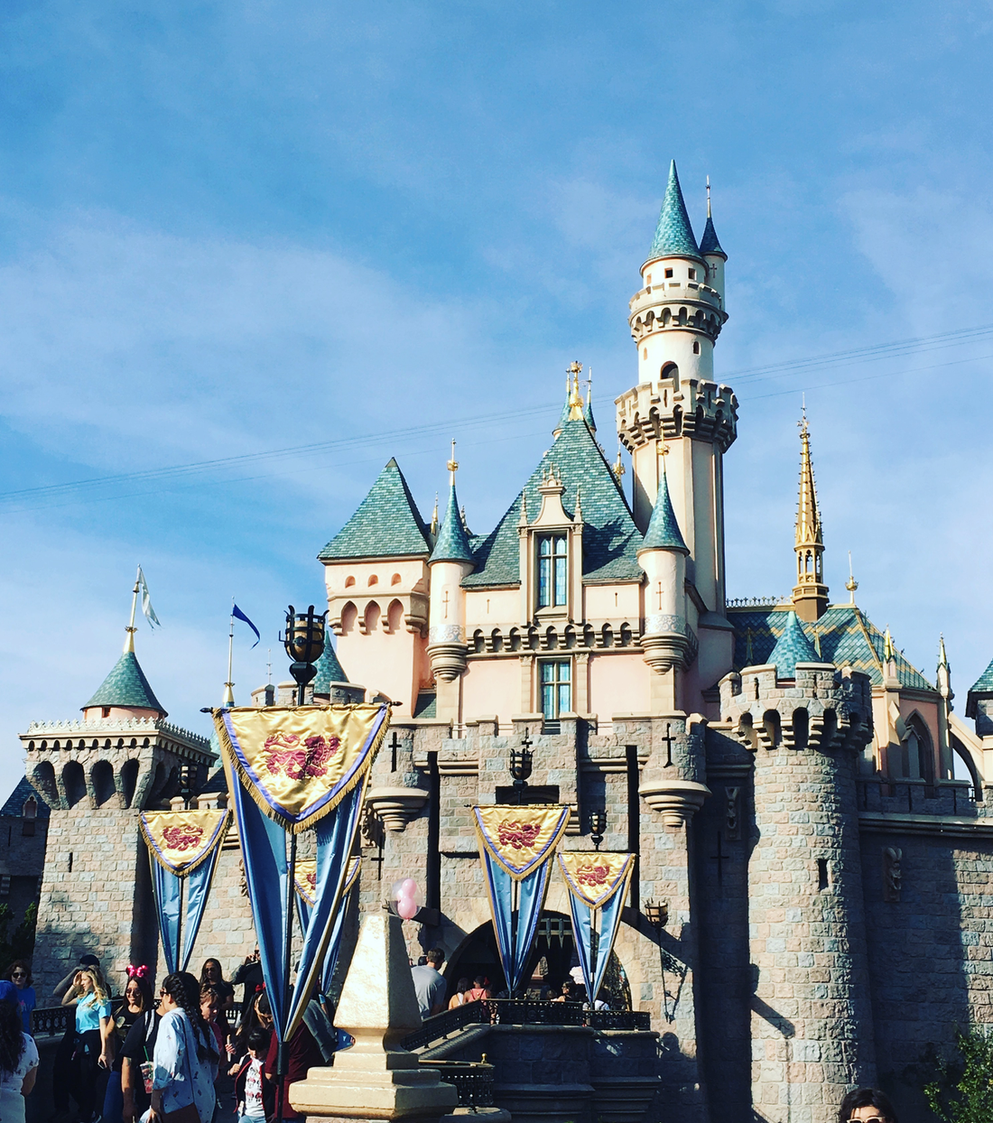 Disneyland Rides for Picky Kids to Visit if You Just Have 1 Day