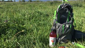 Backpack Snacks for Organic Month