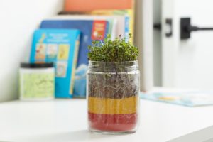 Terrarium Planter for kids